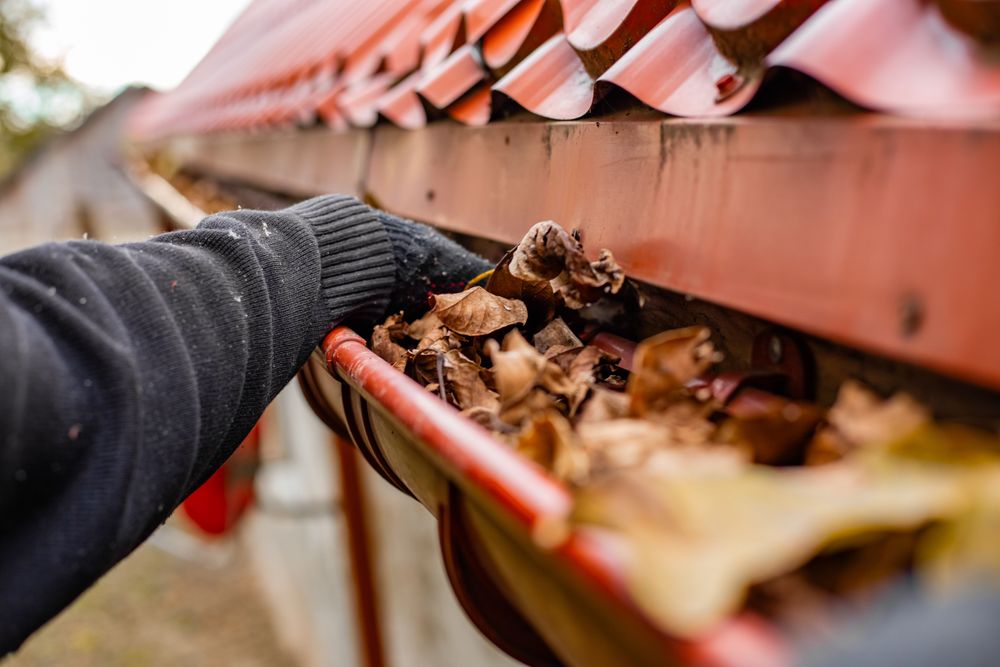 Gutter maintenance