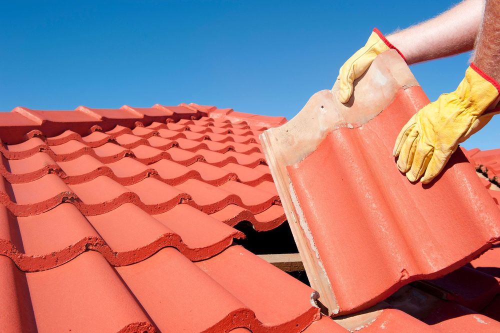 Roof access